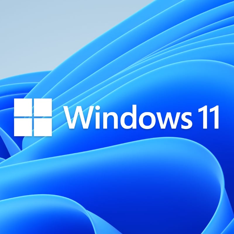 Microsoft Windows 11 Pro 64-bit DSP - Image 2